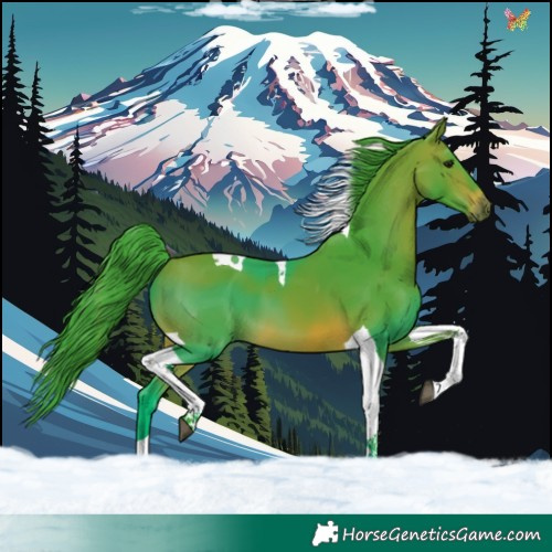 Horse Color:Watercolor Brown Tobiano 