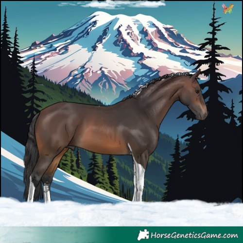 Horse Color:Brown Tobiano 