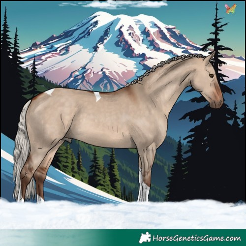 Horse Color:Silver Bay Dun Tobiano 