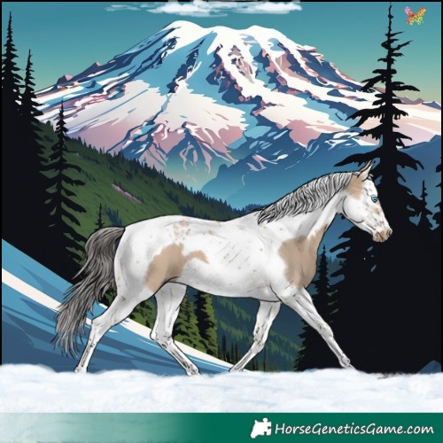 Horse Color:Bay Dun Splash Tobiano Frame 