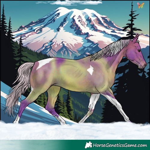 Horse Color:Watercolor Silver Brown Tobiano