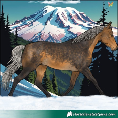 Horse Color:Silver Buckskin