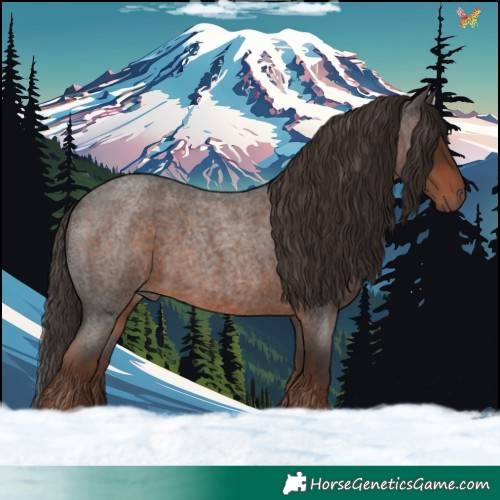 Horse Color:Liver Red Roan 
