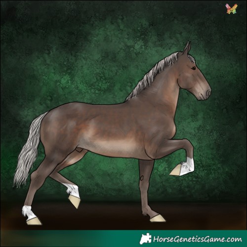 Horse Color:Silver Black 