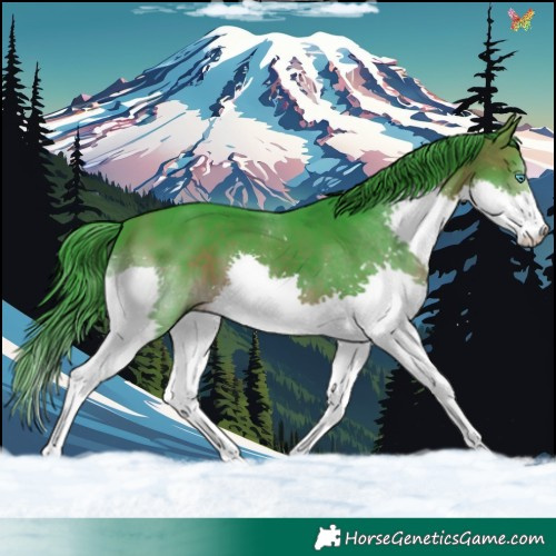 Horse Color:Watercolor Brown Splash 