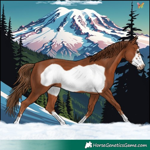 Horse Color:Chestnut Frame 