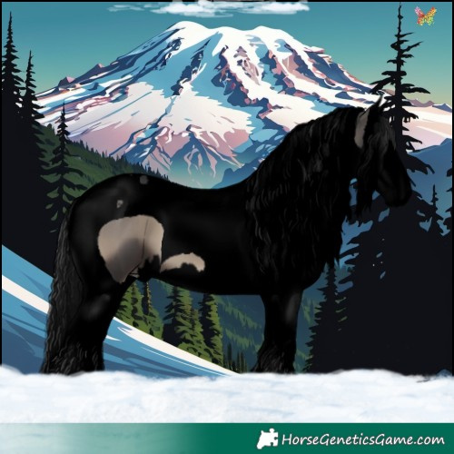 Horse Color:Void Blue Onyx Splash Tobiano 