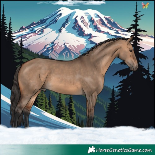 Horse Color:Bay Dun