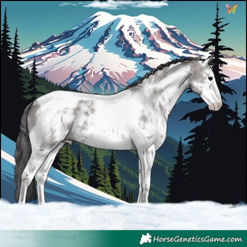 Horse Color:Smoky Grullo Ice Sabino Tobiano