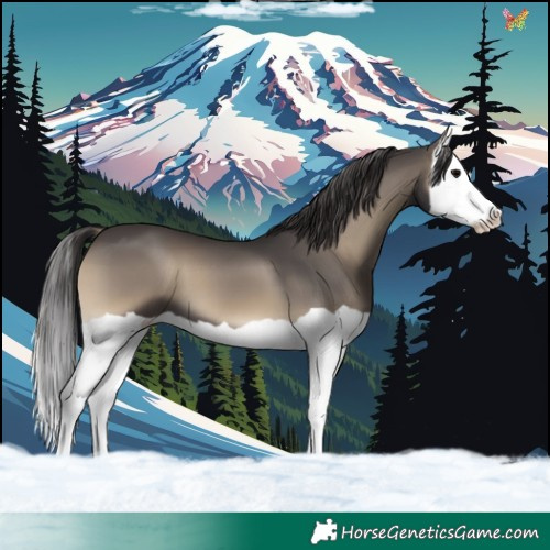 Horse Color:Smoky Blue Onyx Splash