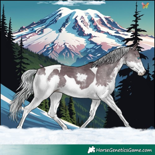 Horse Color:Silver Black Splash Tobiano 