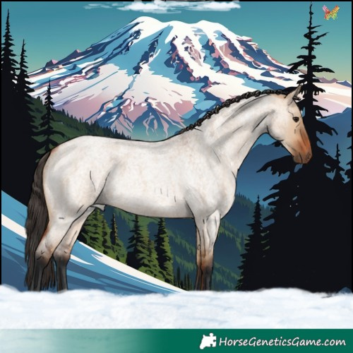 Horse Color:Bay Roan Dun 
