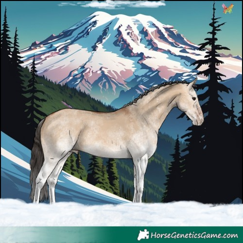 Horse Color:White Spotted Bay Dun 