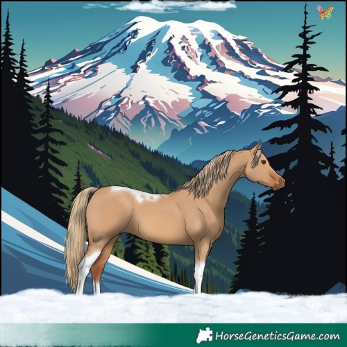 Horse Color:Red Dun Tobiano