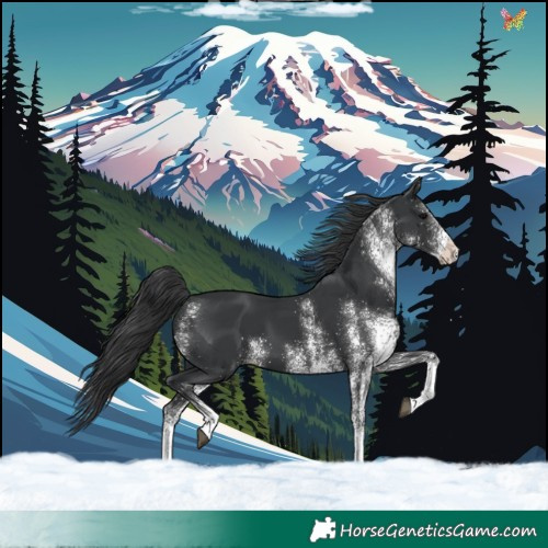 Horse Color:White Spotted Black 