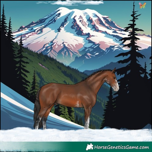 Horse Color:White Spotted Bay
