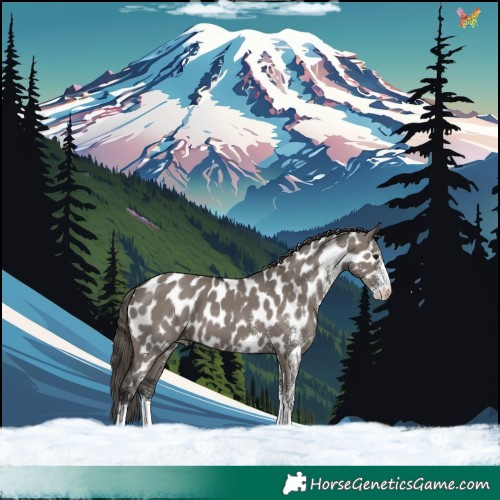 Horse Color:White Spotted Grullo Tobiano Near Leopard 