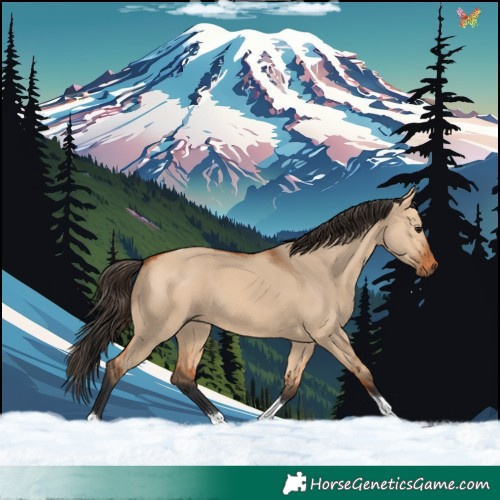 Horse Color:Bay Dun Tobiano 