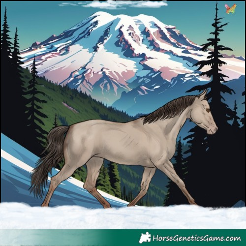 Horse Color:Classic Champagne Dun 