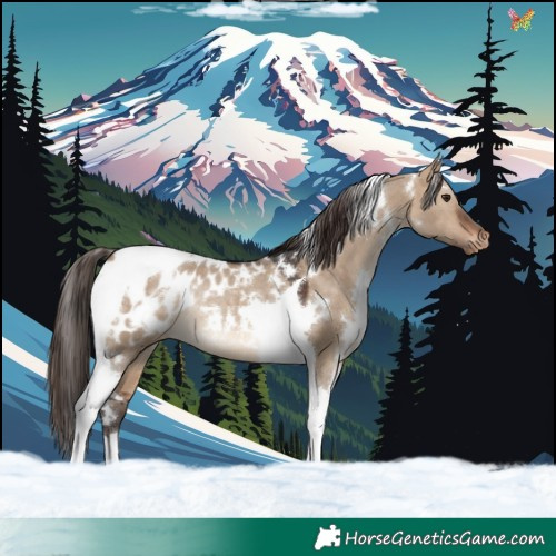 Horse Color:White Spotted Brown Dun Tobiano Appaloosa Rabicano 