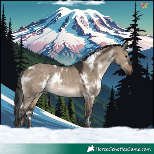 Horse Color:White Spotted Brown Dun Rabicano 
