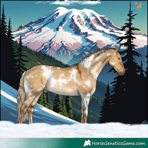 Horse Color:White Spotted Chocolate Palomino Dun Rabicano 
