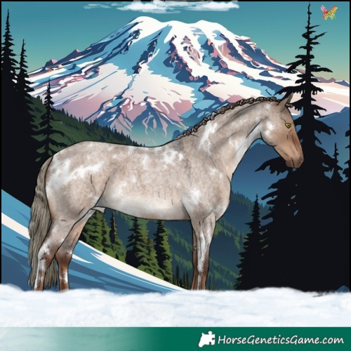 Horse Color:White Spotted Liver Red Dun Roan 