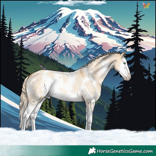 Horse Color:White Spotted Palomino Roan Dun Splash 