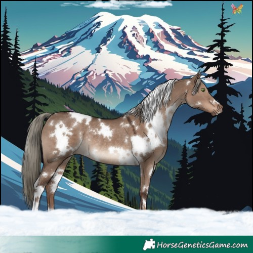 Horse Color:White Spotted Liver Red Dun Mushroom Rabicano 