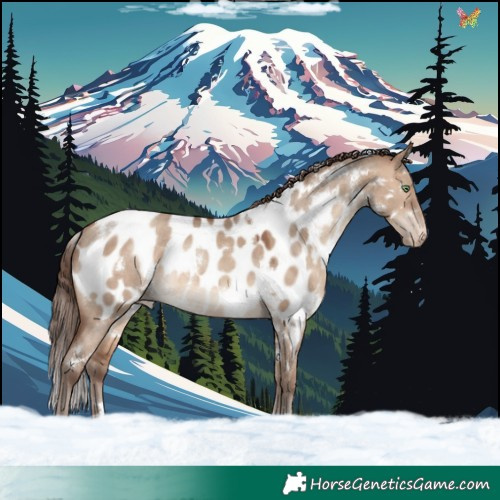 Horse Color:White Spotted Sable Champagne Dun Blanket Rabicano