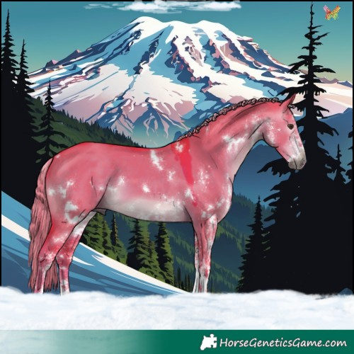 Horse Color:Gray Watercolor White Spotted Liver Red Dun