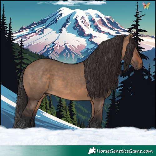 Horse Color:Brown Dun 