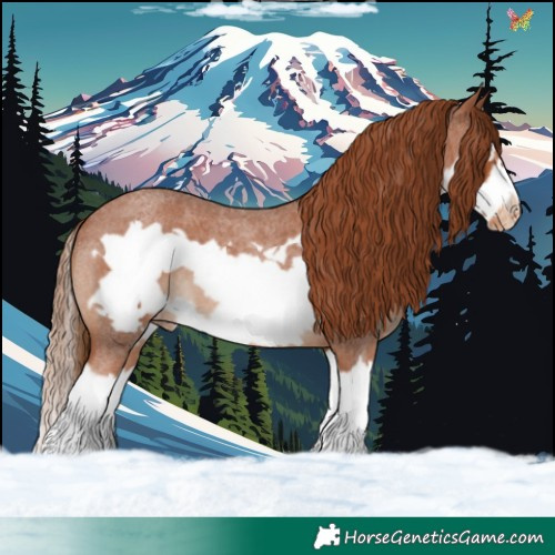 Horse Color:White Spotted Red Roan Splash Frame Appaloosa 