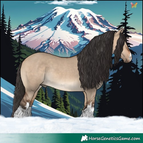 Horse Color:White Spotted Bay Dun Rabicano 
