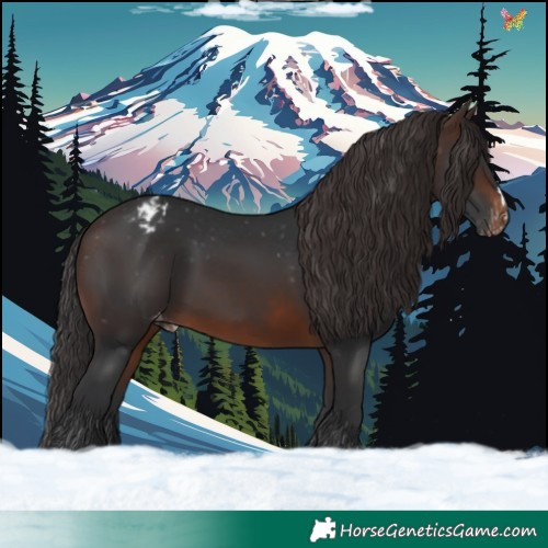 Horse Color:Brown Appaloosa