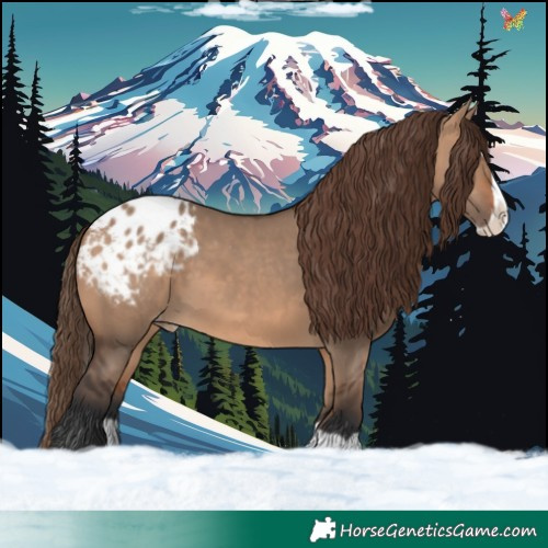 Horse Color:Bay Dun Splash Appaloosa 
