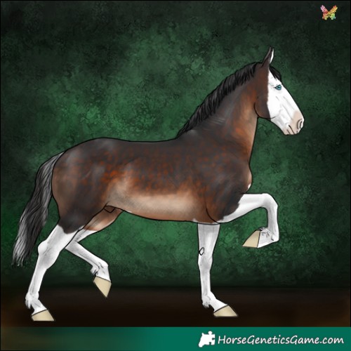 Horse Color:Brown Splash 