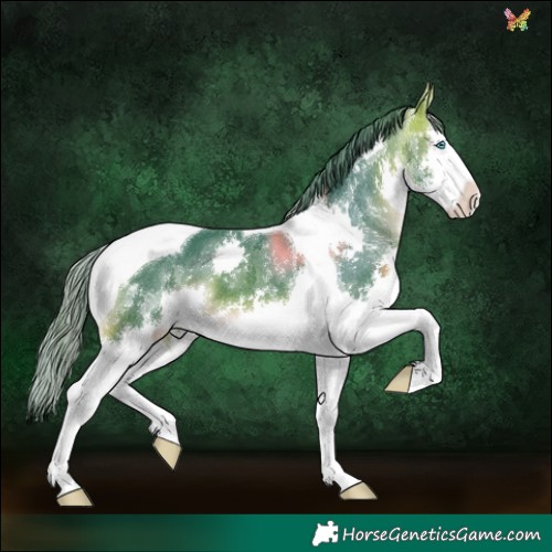 Horse Color:Watercolor White Spotted Bay Splash Tobiano Appaloosa 