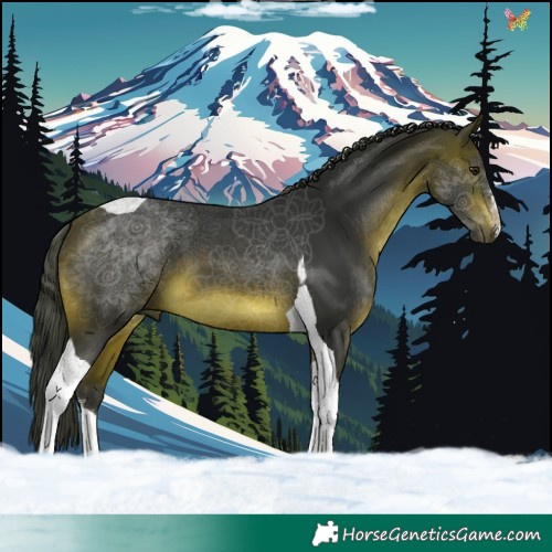 Horse Color:White Spotted Brown Tobiano