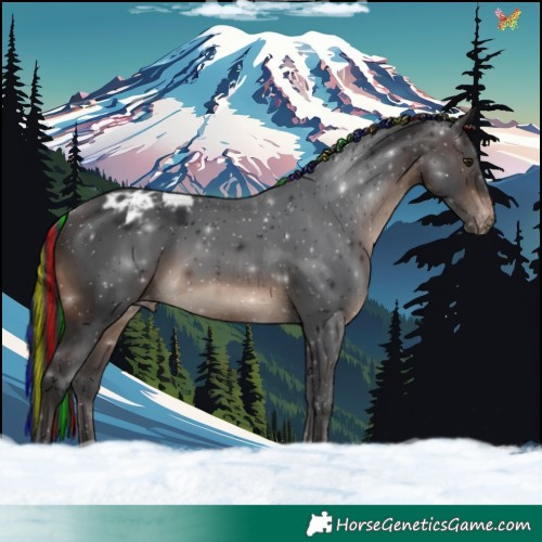 Horse Color:Painted Brown Appaloosa 