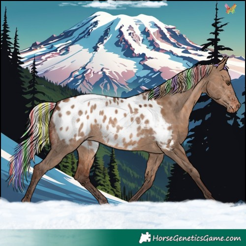 Horse Color:Painted Silver Brown Dun Blanket Rabicano 