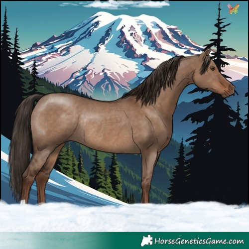 Horse Color:Liver Red Dun Rabicano 