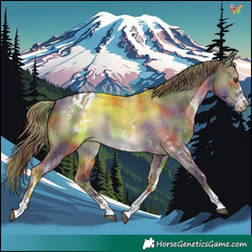 Horse Color:Nacre White Spotted Liver Red Dun Appaloosa Rabicano