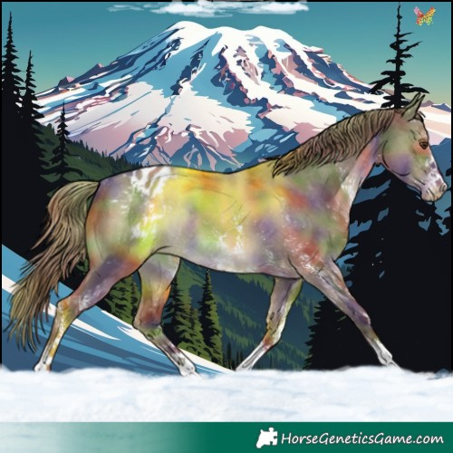 Horse Color:Nacre White Spotted Liver Red Dun Varnish Rabicano 
