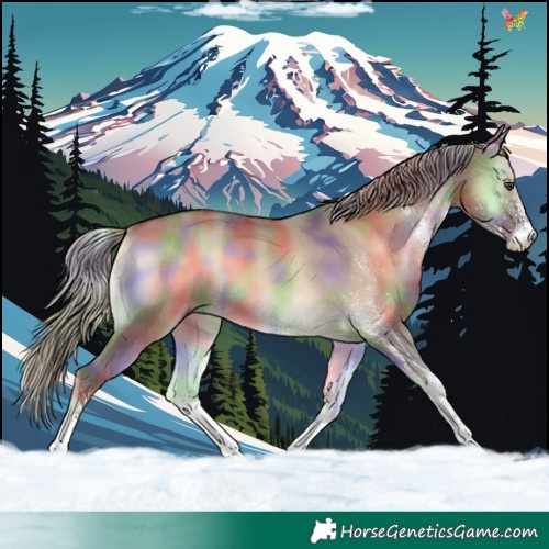 Horse Color:Nacre White Spotted Liver Red Dun Onyx 