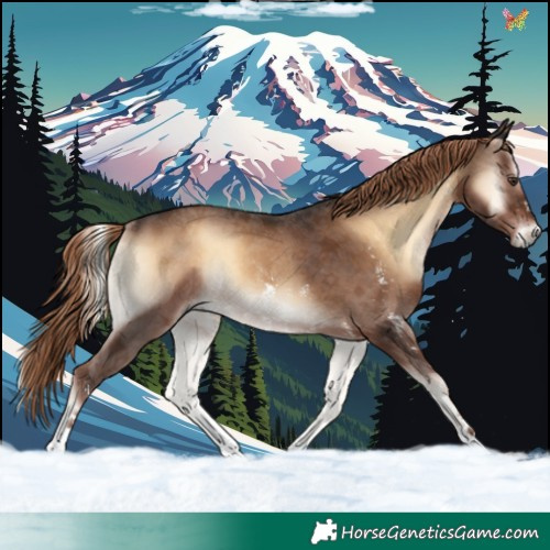 Horse Color:Liver Red Onyx Sabino Rabicano 