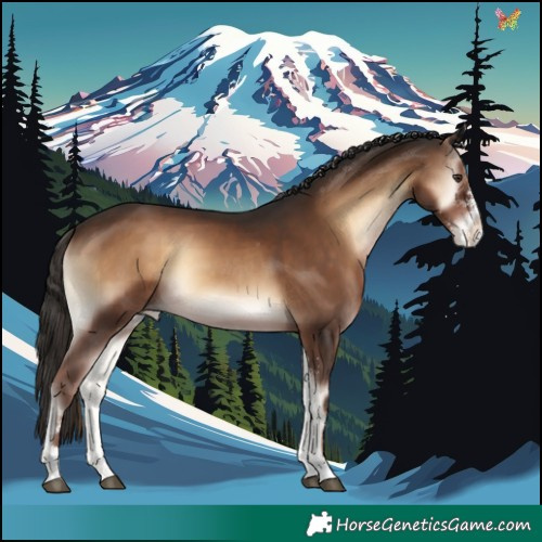 Horse Color:White Spotted Liver Red Onyx Appaloosa 