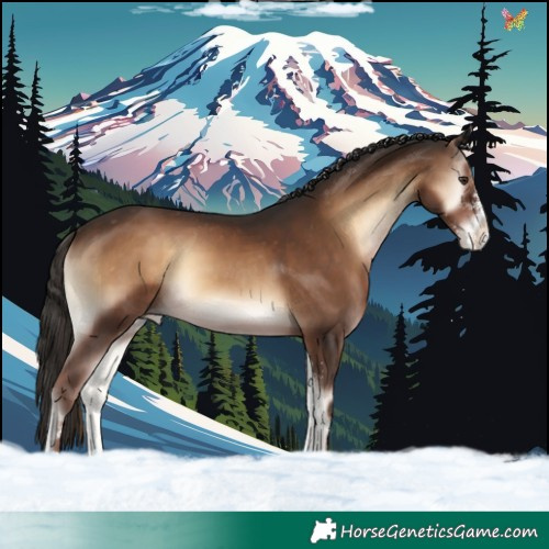 Horse Color:White Spotted Liver Red Onyx Appaloosa 