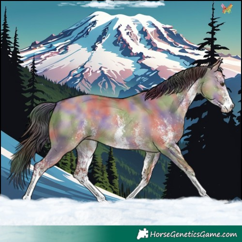 Horse Color:Nacre White Spotted Liver Red Dun Rabicano 