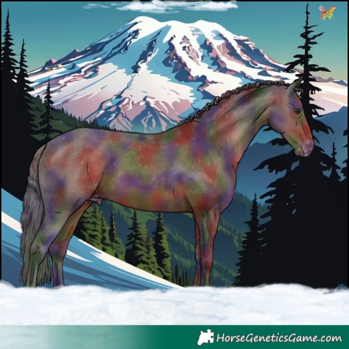 Horse Color:Nacre Liver Chestnut Appaloosa